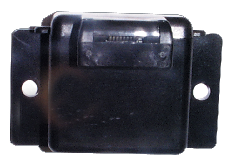 3620324.jpg