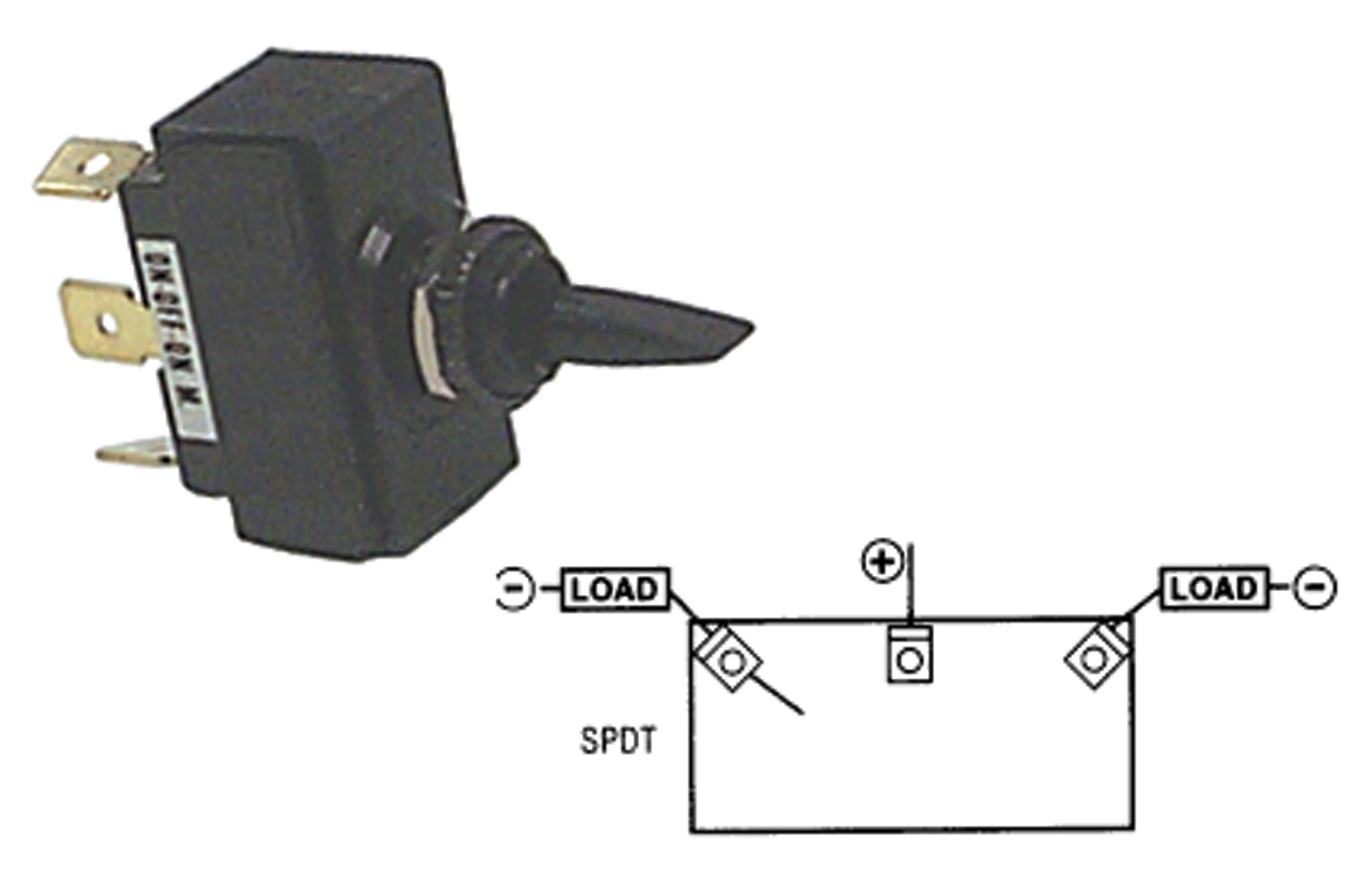 3640161r.jpg