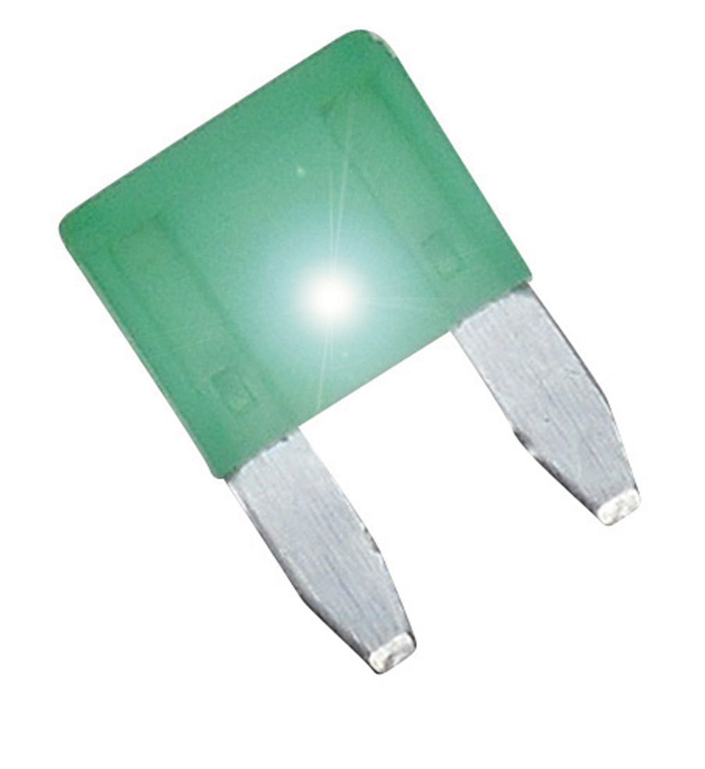 3600135a.jpg