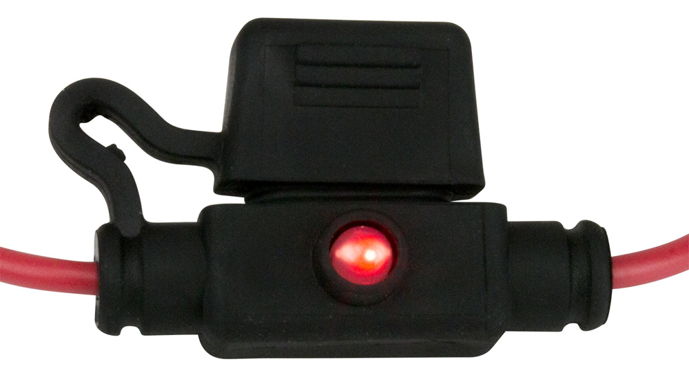 445097.jpg